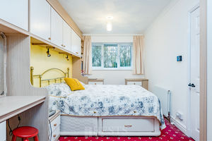 Paddock Rise Beechwood